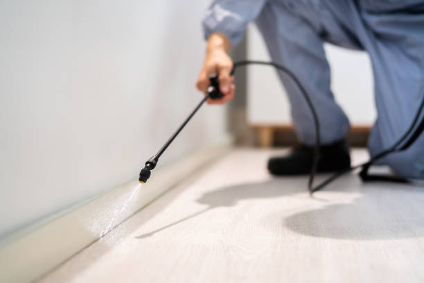 Licensed Cockroach Control service in Mobile, AL - Nex Pest Control