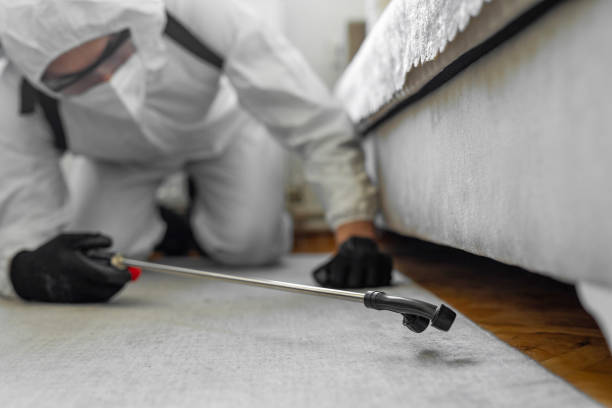 Professional Cockroach Control technician working in Mobile, AL