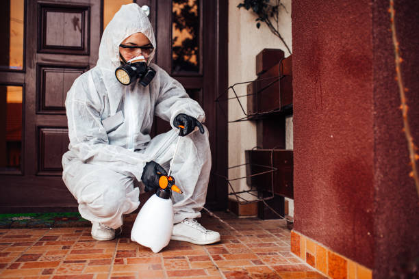 Reliable Cockroach Control contractor in Mobile, AL by Nex Pest Control