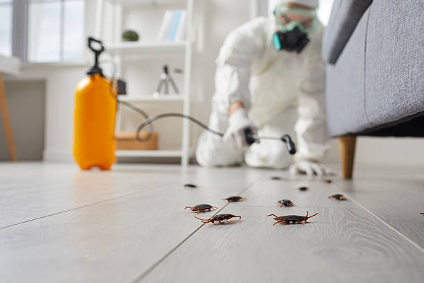 Trusted Emergency Pest Control service in Mobile, AL - Nex Pest Control
