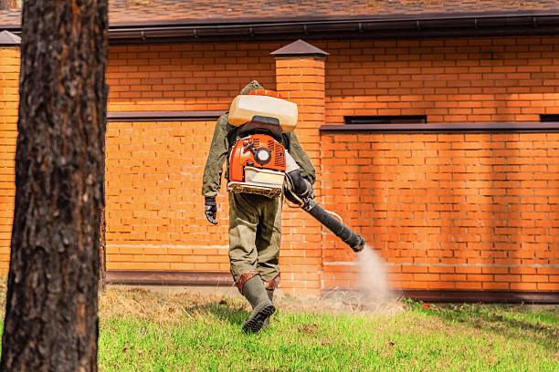 Trusted Mosquito Control service in Mobile, AL - Nex Pest Control